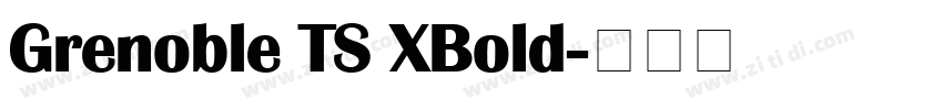 Grenoble TS XBold字体转换